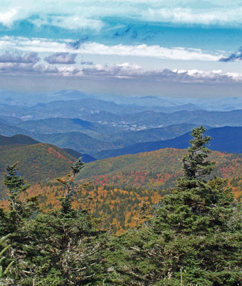 The Blue Ridge Mountains layer into fall and set against the jade green of spruce on the way to Mount Mitchell.